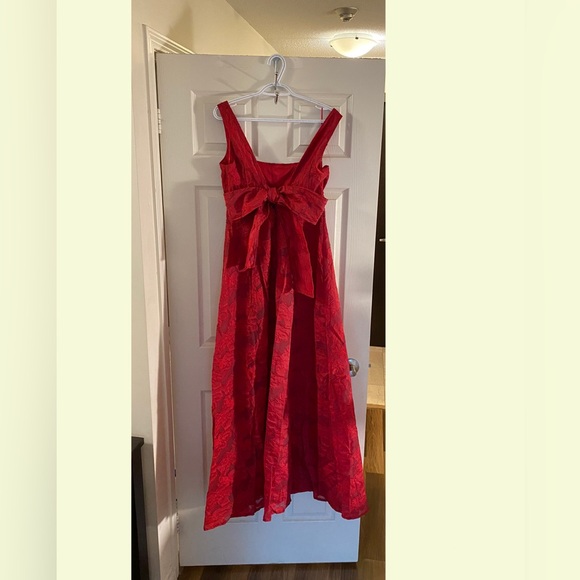 Elegant Red Textured A-Line Evening Dress - Picture 8 of 16